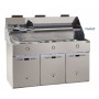 FRITEUSE 3 CUVES TYPE DEFI SOFINOR