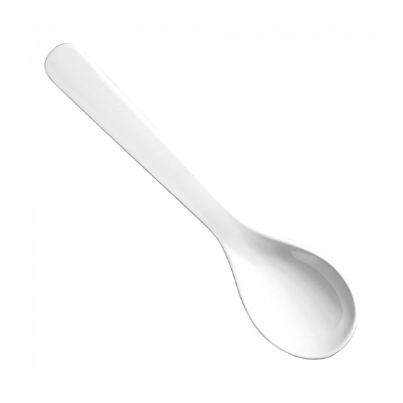 CUILLERE A SERVIR L.23.5CM