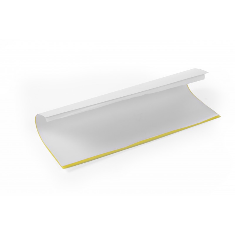 SET DE 10 PLAQUES COLLANTES POUR 270196